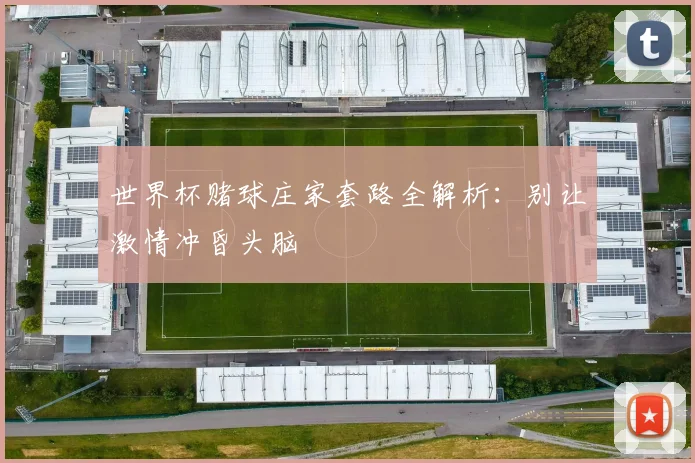 世界杯赌球庄家套路全解析：别让激情冲昏头脑