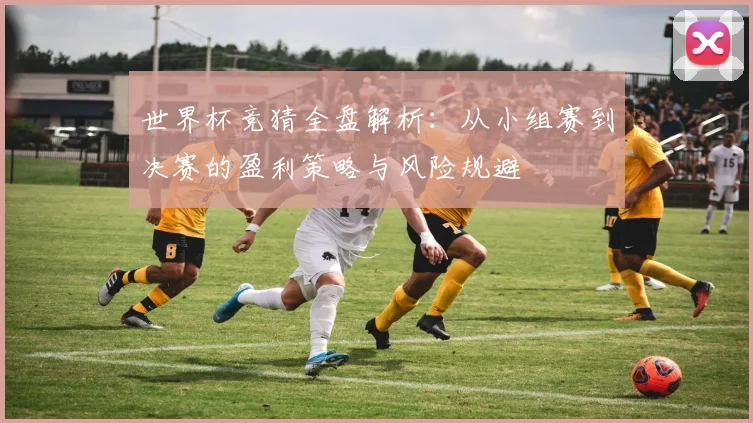 世界杯竞猜全盘解析:从小组赛到决赛的盈利策略与风险规避