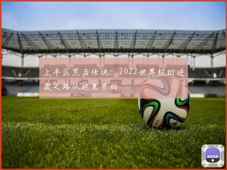 上半区黑马传说：2022世界杯的逆袭之路从这里开始