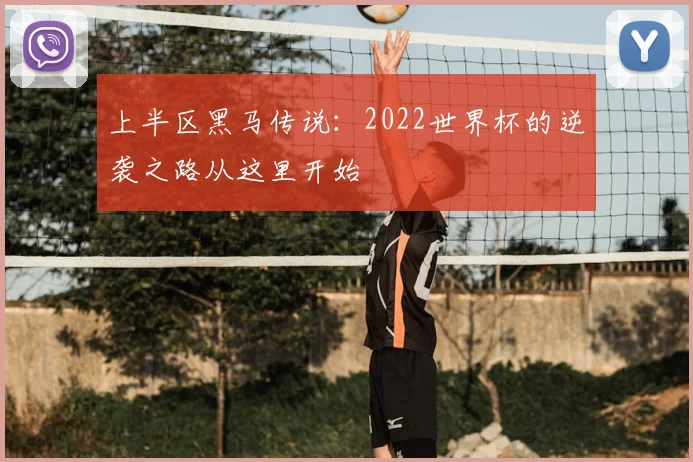 上半区黑马传说：2022世界杯的逆袭之路从这里开始