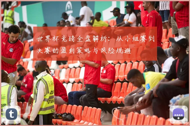 世界杯竞猜全盘解析：从小组赛到决赛的盈利策略与风险规避