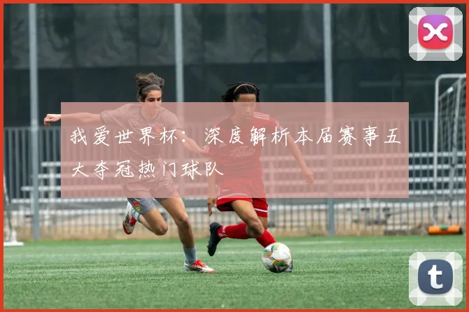 我爱世界杯：深度解析本届赛事五大夺冠热门球队
